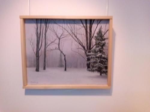 "Paisaje nevado", durante una muestra de Salgado
